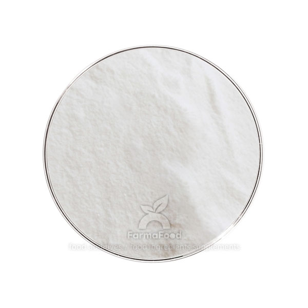 polyanionic cellulose polymer
