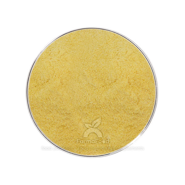 coq10 supplement