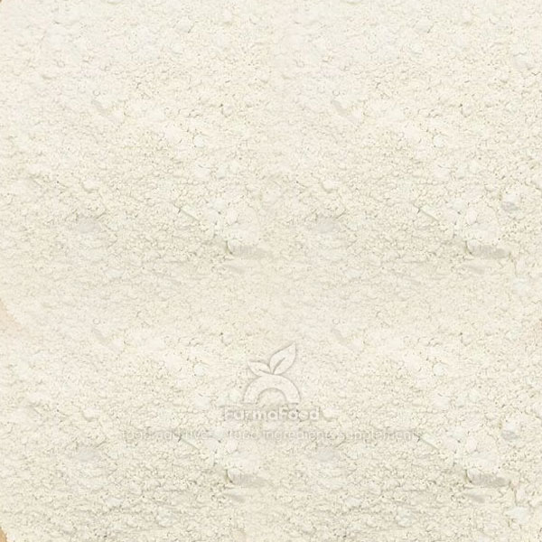 rice protein supplements