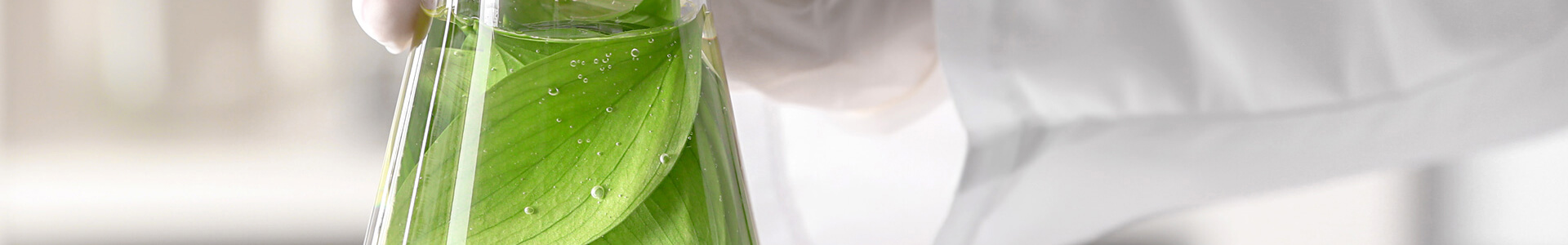 Farma-Food Chinese New Year Holiday Notice 2026